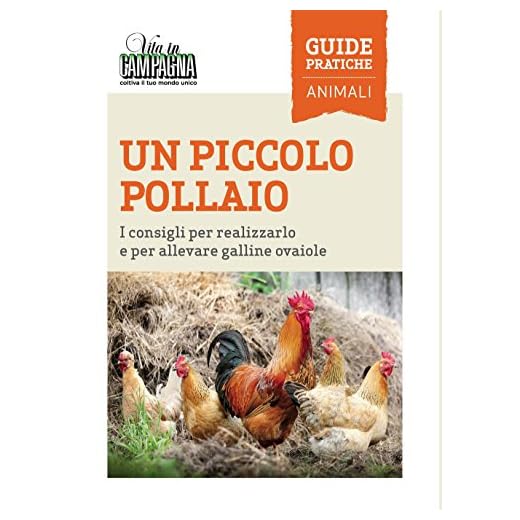 Un piccolo pollaio. I consigli per realizzarlo e per allevare galline ovaiole