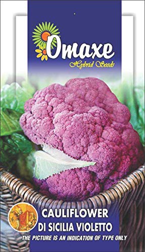 Omaxe Seeds Cauliflower Di Sicilia Violette (Purple) Exotic Seeds Kitchen Garden Packet (B07MCCZLS8) Amazon Price History, Amazon Price Tracker