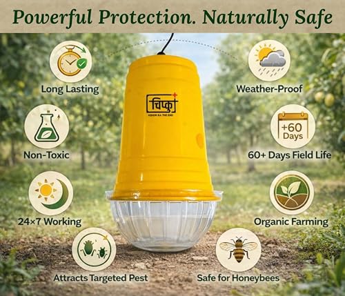 Image of Chipku Glass Pheromone Trap with Fruit Fly Lure - Pack of 100 for Bactrocera Dorsalis Control in Mango, Guava, Papaya, and Other Fruit Crops | Orchards & Agriculture