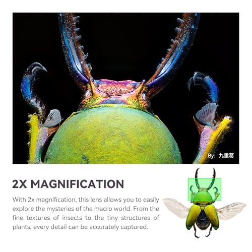 TTArtisan 100mm F2.8 Macro 2X for Nikon Z Mount