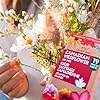Canadian Wildflower Seeds 3.6 oz - 20 Varieties of Mixed Annual & Perennial Flower Seeds from Oh! Canada Seeds - Graines de Fleurs Sauvages Wild Flowers Seeds Canada Flower Seeds #3