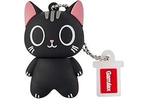 USB Flash Drive - Cute and Captivating Companion for Your Data Journey