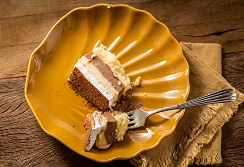 Jogo 6 Pratos Multiúso, Curry, Coleção Especiarias, Acervo Panelinha