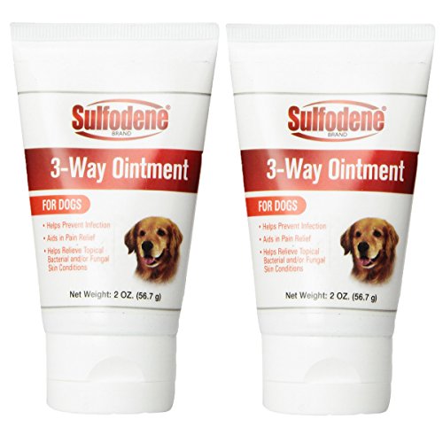 10 Best Triple Antibiotic Ointment For Dogs — Great Answer