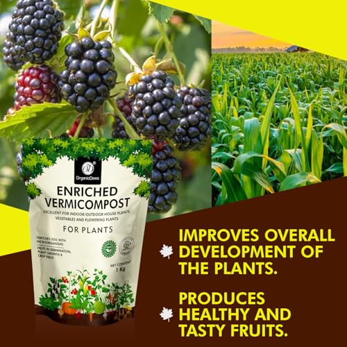 Image of OrganicDews Enriched Vermicompost (10 Kg) (Pack of 1 Kg) - Enriched & Fortified with Cow Dung and Bio Fertilizers - For Terrace Gardening, Vegetable /Flower Plants 10 Kg