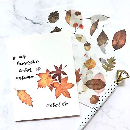 image for 1000Art Nature Stickers Set(18 Sheets / 200+) Fall Leaves Cactus Plant
