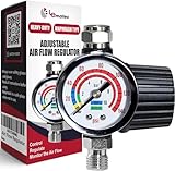 LE LEMATEC Spray Gun Regulator Valve with Gauge, 1/4 NPT Airflow Diaphragm Control up to 140 PSI for Air Compressor, Pressure Hose, HVLP Paint Sprayer, Pneumatic Tools, and Tire Inflator (AR-02)