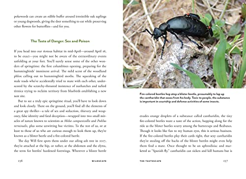 Wildscape: Trilling Chipmunks, Beckoning Blooms, Salty Butterflies, and other Sensory Wonders of Nature (-) - Image 10