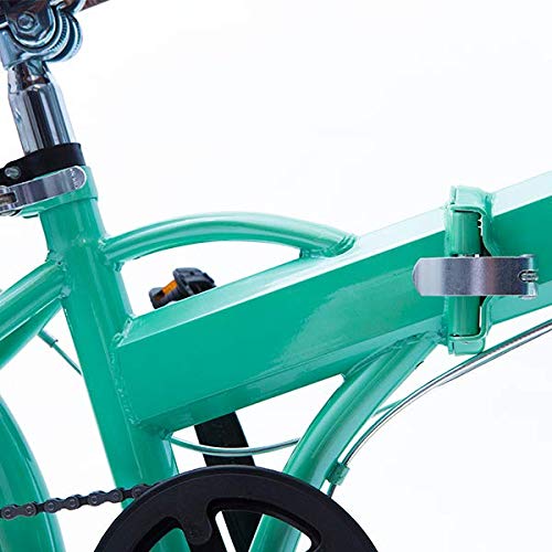 Bicicleta Dobrável Fenix Green - Kit Marcha Shimano - 6 Velocidades