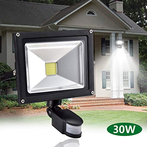Preisvergleich Produktbild DLLT 30W LED Strahler mit Bewegungsmelder einstellbar LED Außenstrahler IP65 Wasserdicht 2400lm Kaltweiß Led Flutlicht Bewegungsmelder für Hof,Garten,Flur,Park,Garage und Eingang (Kein Stecker)