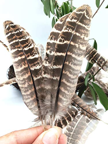 100Pcs Natural Color Pheasant Feathers 5-7 Inches Spotted Wing Quill Feathers For Hats Crafts Clothing Mask Decorating Party Decorations Accessories #TOP5