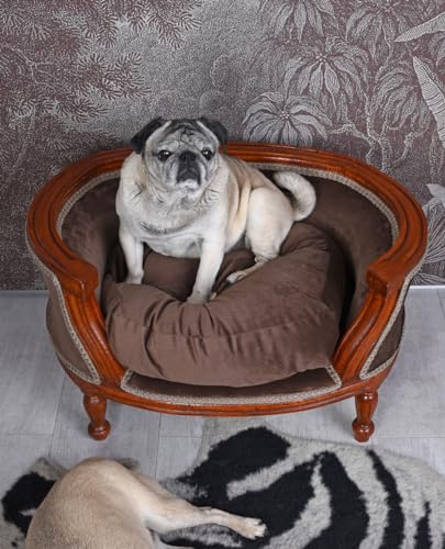Hundebett Barock Hundesofa mit Kissen Hundekorb Katzenbett Hundekissen Samt Braun 70 cm cat701g70 Palazzo Exklusiv