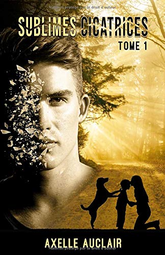 Sublimes Cicatrices - Tome 1