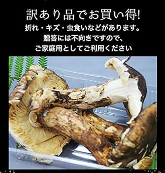 北海道　松茸　300g 訳あり① 楽天市場】松茸 訳ありの通販
