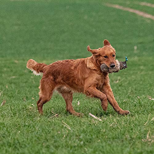 Firedog Dummy mit echtem Kaninchenfell - Robustes Wild-Apportel mit 250g Gewicht (auch für Welpen geeignet)
