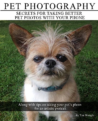 Pet Photography - Secrets for taking better pet photos with your phone: Along with tips on taking your pet’s photo for an artistic portrait