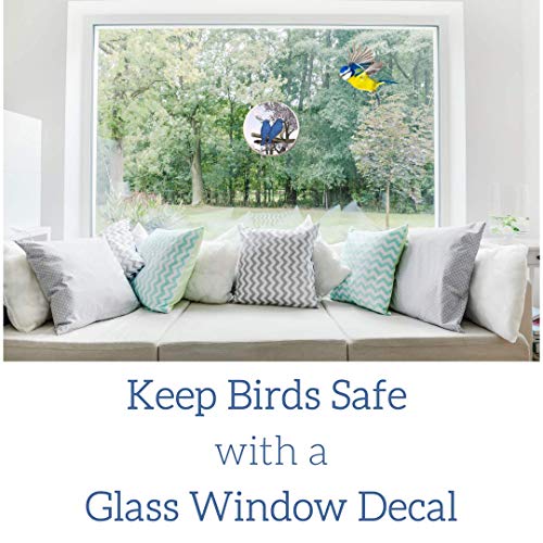 Glass Door And Window Sticker Decals – 2 Per Pack - Printed On Both Sides - For Patio, Sliding, & Shower, Removable And Repositionable. Dogs, Cats, Pets, Kids, Guests, Elderly, Bird Alert #TOP6