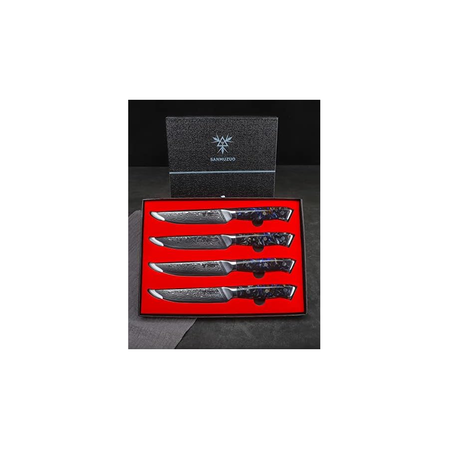 Steak-Knives-Set-of-4-Ultra-Sharp-Non-Serrated-Kitchen-Steak-Knife-5-Inch-Damascus-Steel-Resin-Handle-Xuan-Series-Starry-Black Steak Knives Set of 4, Ultra Sharp Non Serrated Kitchen Steak Knife 5 Inch - Damascus Steel & Resin Handle - Xuan Series (Starry Black)