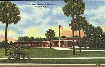 The Fish Memorial Hospital Deland, Florida FL Original Antique Postcard