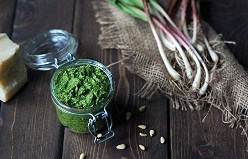 25 Fresh Wild Ramps/Leeks for Cooking or replanting PRE-Order & Save - Arriving May 2020 - Thumbnail 4