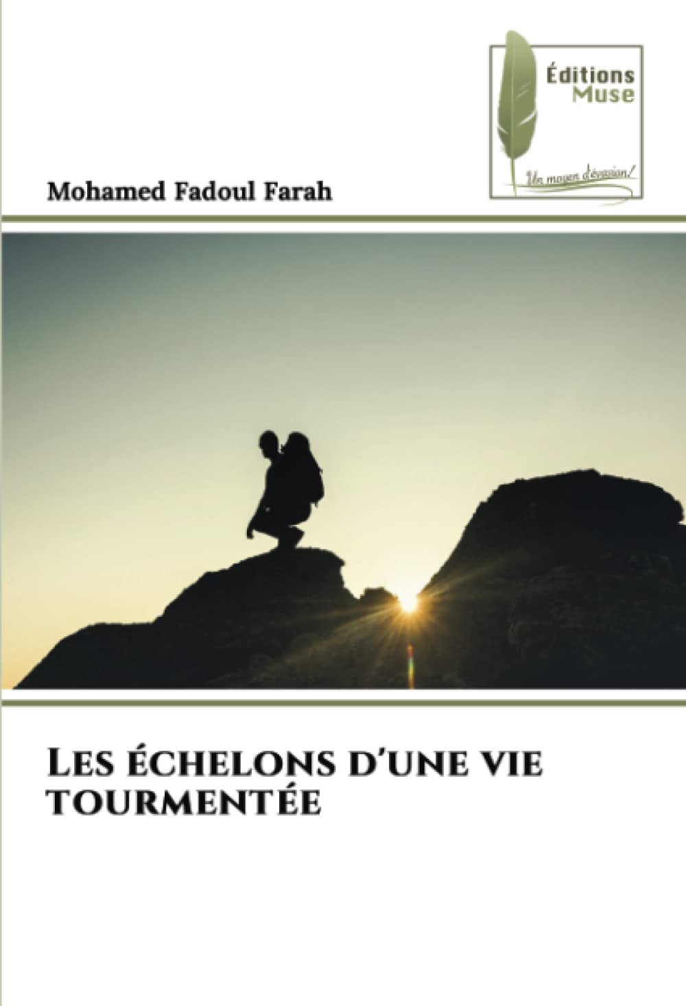 Les échelons d'une vie tourmentée : le livre idéal pour comprendre la psychologie humaine