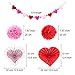 Blulu Valentine Gift Paper Kit Party Decorations, Multicolor Tissue Paper Flowers Bunting Hanging Fan for Party Decorations