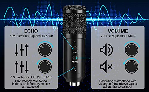 Diagram showing microphone controls: Echo adjustment knob, Volume adjustment knob, and 3.5mm Audio Output Jack