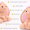 Edible Brown Bunny Cake Toppers - 3D Sugar Fondant Animal Figure - Kids Birthday Decorations - Handmade Present (bunny)