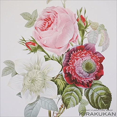 値下げ！【大型豪華版】ルドゥーテ画　美花選 2冊セット 71dWEZBjeKL._UF350,350_QL50_.jpg