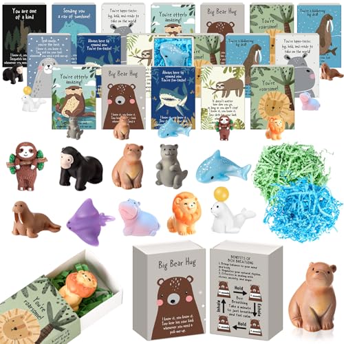 Soulchen 20Zbg CXs[VMtg oN  |WeBu IȃMtg ċz{bNX ~j ̒u ʟ{bNXt Fl X^bt NX}X ]ƈ ӂ̋C (킢)