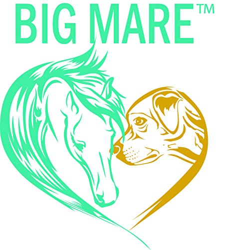 Dog Medicated Shampoo & Body Wash | Soothing, Anti-Itch, Treats Canine Dermatitis, Hair Loss & More | Veterinary Approved & Recommended Non-Sting Formula 8oz Dog Medicated Shampoo & Body Wash | Soothing, Anti-Itch, Treats Canine Dermatitis, Hair Loss & More | Veterinary Approved & Recommended Non-Sting Formula 8oz