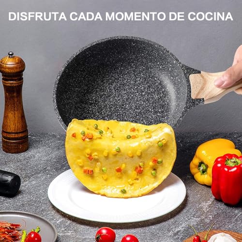 Recopilación de Sartenes de chef al mejor precio. 20 Sartenes de chef marca CHEFOLLA (2)