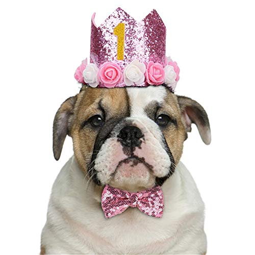 Geburtstagshut für Hunde, Katze, Hund, Geburtstagskrone, Hut und Fliege mit 0–9 Figuren, Charms, Partyzubehör für kleine, mittelgroße Welpen, Kätzchen, Blau (rosa)