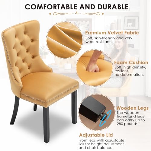 Image of Velvet Dining Chairs, Tufted Kitchen & Dining Room Chairs, Gold, Set of 6