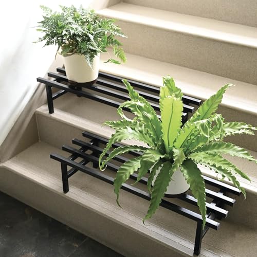 Image of Bee Creative Plant Stands for Outdoor Balcony, Flower Pot Stand for Indoor Plants, Large Metal Planter Stand for Living Room, home decor, Indoor & Outdoor plants Stand (SINGLE STEP B)