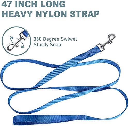 Image of Dog Collar and Leash Set, Adjustable Nylon Collar with Leash for Small Medium and Large Dogs, Quick Release and Breathable Collar for Puppies (Small, Blue)