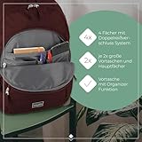 Travelite Handgepäck Rucksack, Laptop Rucksack 15,6 Zoll, BASICS, Daypack, Tagesrucksack mit vielen Fächern, 45 cm, 22 Liter