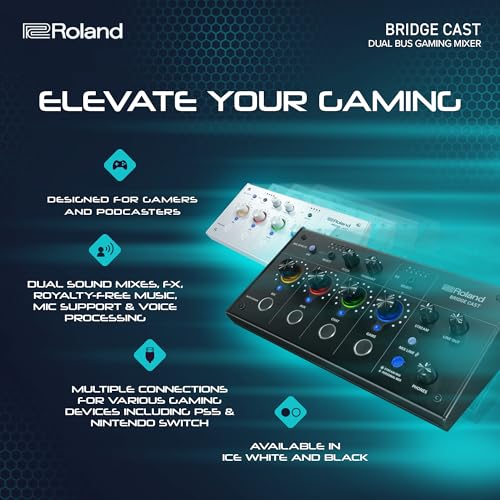 Roland video mixer system