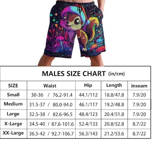 Short de bain doublé Chic Squirrel homme short de plage léger à séchage rapide - 5