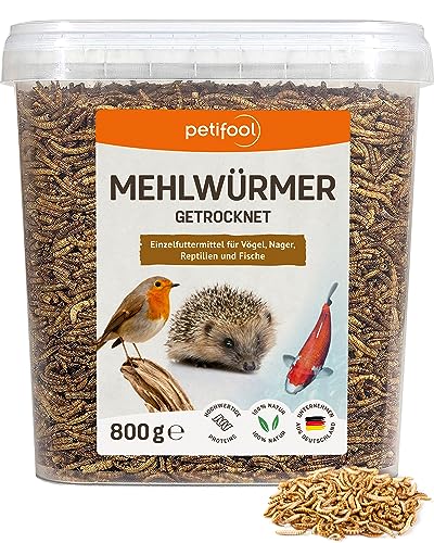 petifool Gusanos de harina, 1 Unidad (800 g).