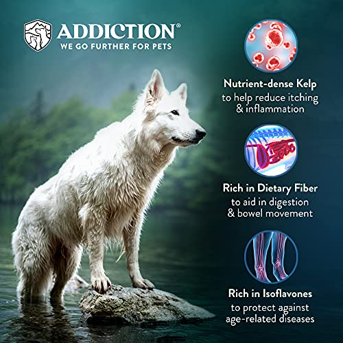 Addiction Zen Vegetarian Dry Dog Food, Rich In Isoflavones And Antioxidants, Vegan Dog Food, Crafted In New Zealand, For All Dog Life Stages 4Lb #TOP5