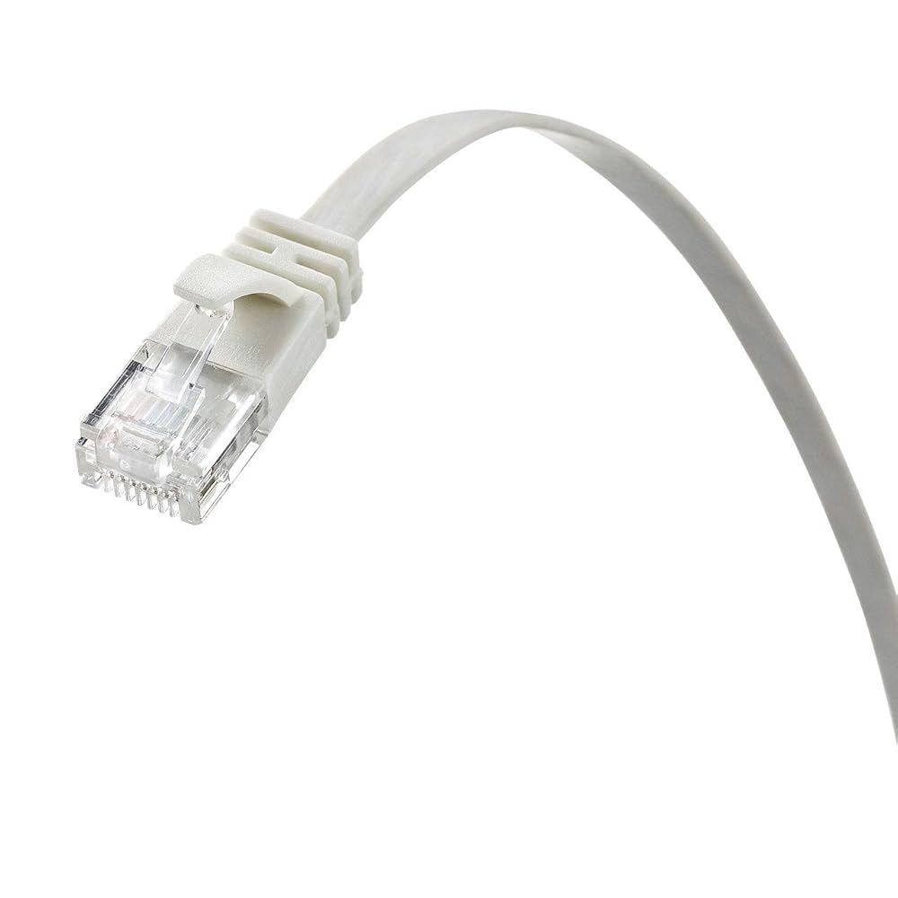 Amazon.co.jp: サンワサプライ CAT6A フラットLANケーブル (1m
