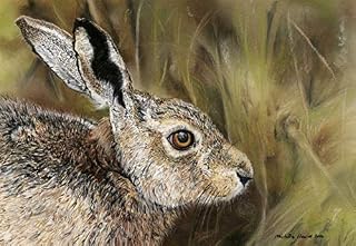 Hare Print entitled Hazel by UK artist Michelle Hewitt
