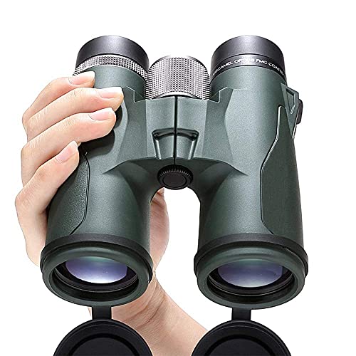 Binoculaires pour observer les oiseaux YSJNGF jumelles de voyage puissantes pour adulte