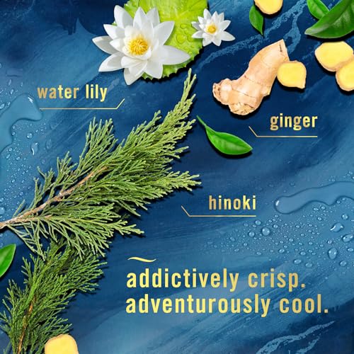 Image of Febreze Air Mist Air Freshener Spray, Odor-Fighting Room Spray, Air Fresheners for Home and Bathroom and Kitchen, Aerosol Can, Ocean Scent, 8.8oz, 1 Count