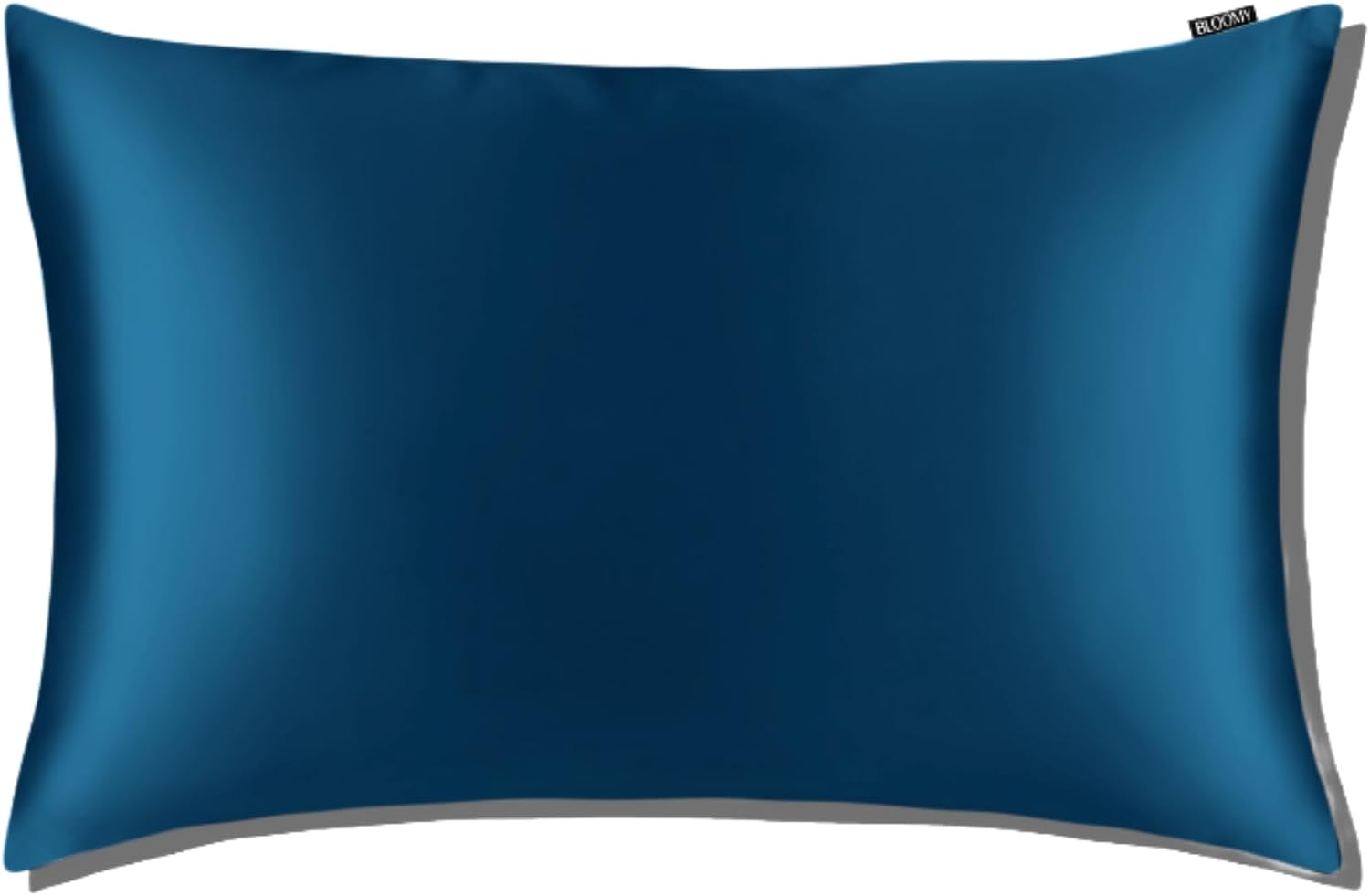 Bloomy 100% Mulberry Silk Pillowcase – 22 Momme, Grade 6A – Pure Silk Pillow Cover for Hair & Skin – Cooling, Zippered (Sky Blue, Standard Size)