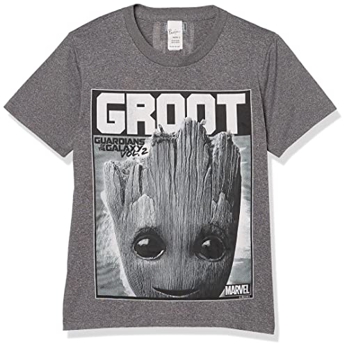 Marvel Kids' Groot Bolden T-Shirt