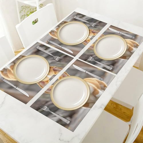 Set de table PVC Corgi lavable et imperméable : protection de table cuisine et repas extérieur