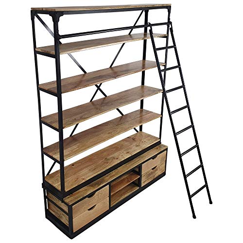 Bücherregal mit Leiter Vintage Leiterregal - Holzregal Metall Standregal Industrial Design, schwarzes Lagerregal für die Wand, Aktenregal Schrankregal, Maße (B/T/H) 150/60 / 200 cm Cover