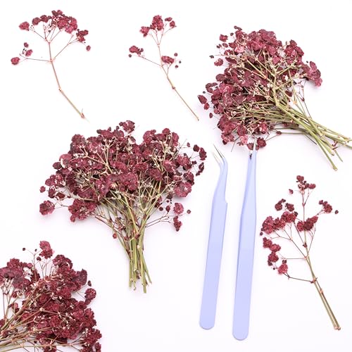 Flores secas prensadas Baby's Breath 70 piezas